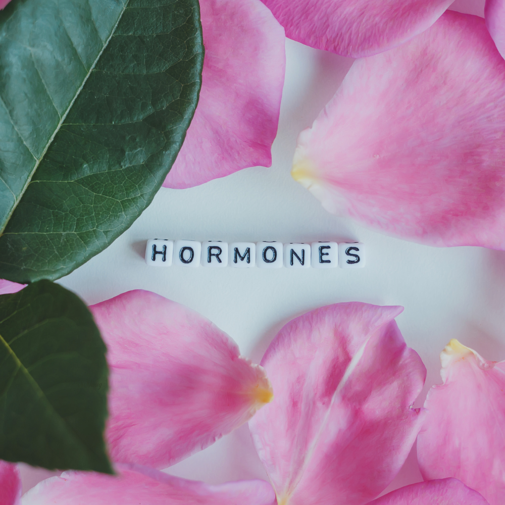 Shine (1000 x 1000 px)